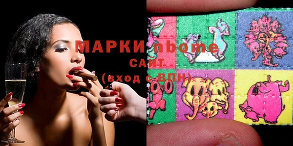 гашик Алексин