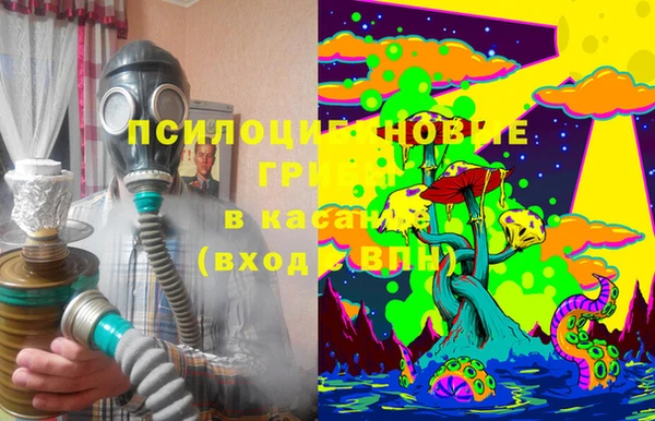 ECSTASY Алексеевка