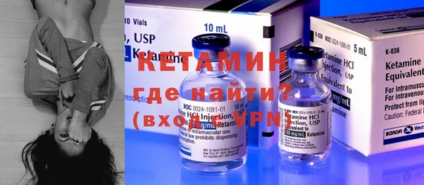 гашик Алексин